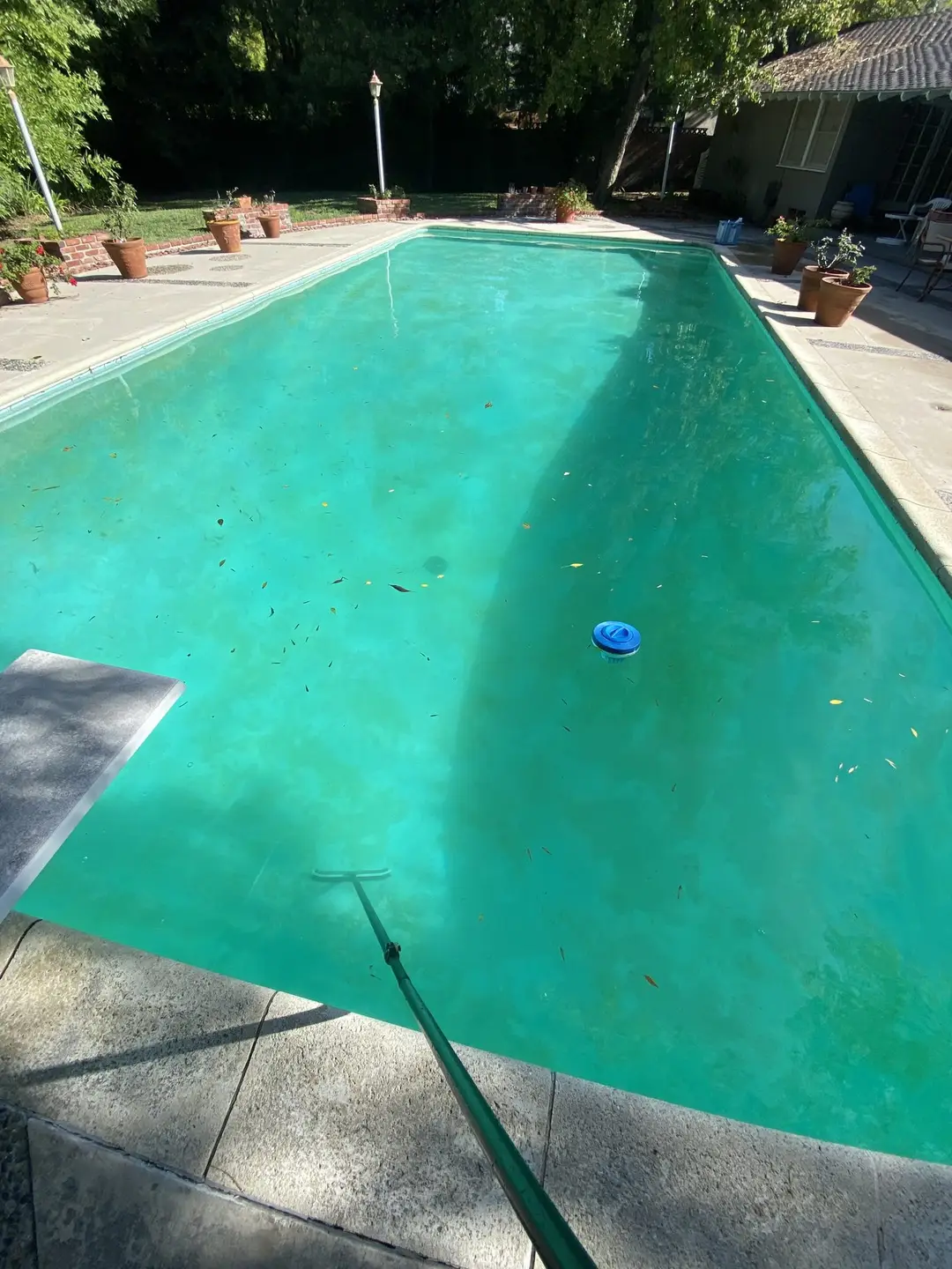 Same backyard pool after Blue Ripple pool recovery service
